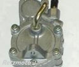 MIKUNI POMPE A ESSENCE ROTATIVE