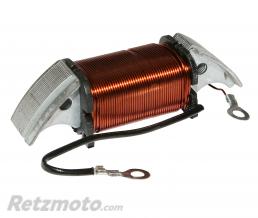BOBINE ALLUMAGE CYCLO ADAPTABLE PIAGGIO 50 CIAO PX (BASSE TENSION INTERIEUR) 