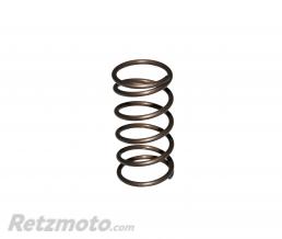 RESSORT DE PIVOT CACHE MOTEUR ADAPTABLE PIAGGIO 50 CIAO PX (RO.122957) 
