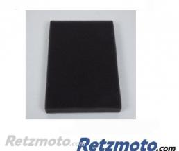 Filtre Air Aprilia RS125 92-07 ATHENA(oem AP8102080)