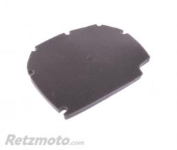 Filtre air Benelli 752(oem 49202P290000)