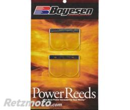 BOYESEN Clapets BOYESEN Power Reeds - 619